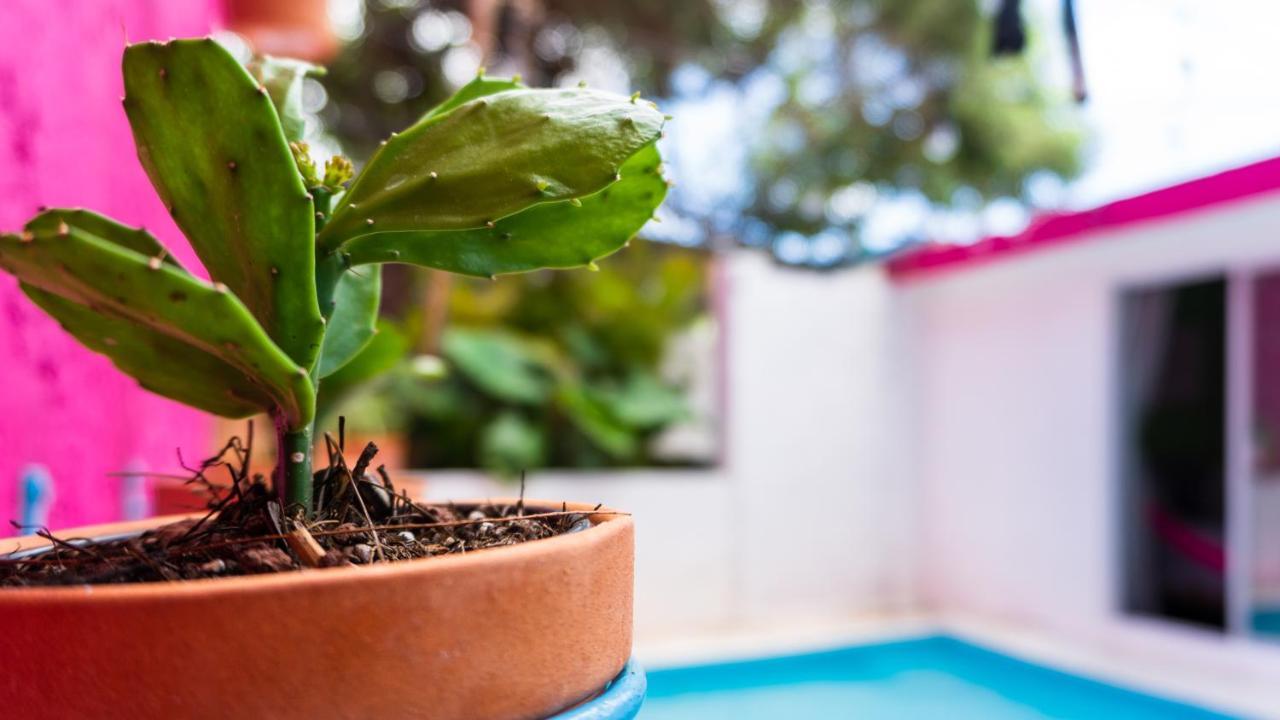 Apartmán Casa Tiahui Cancún Exteriér fotografie