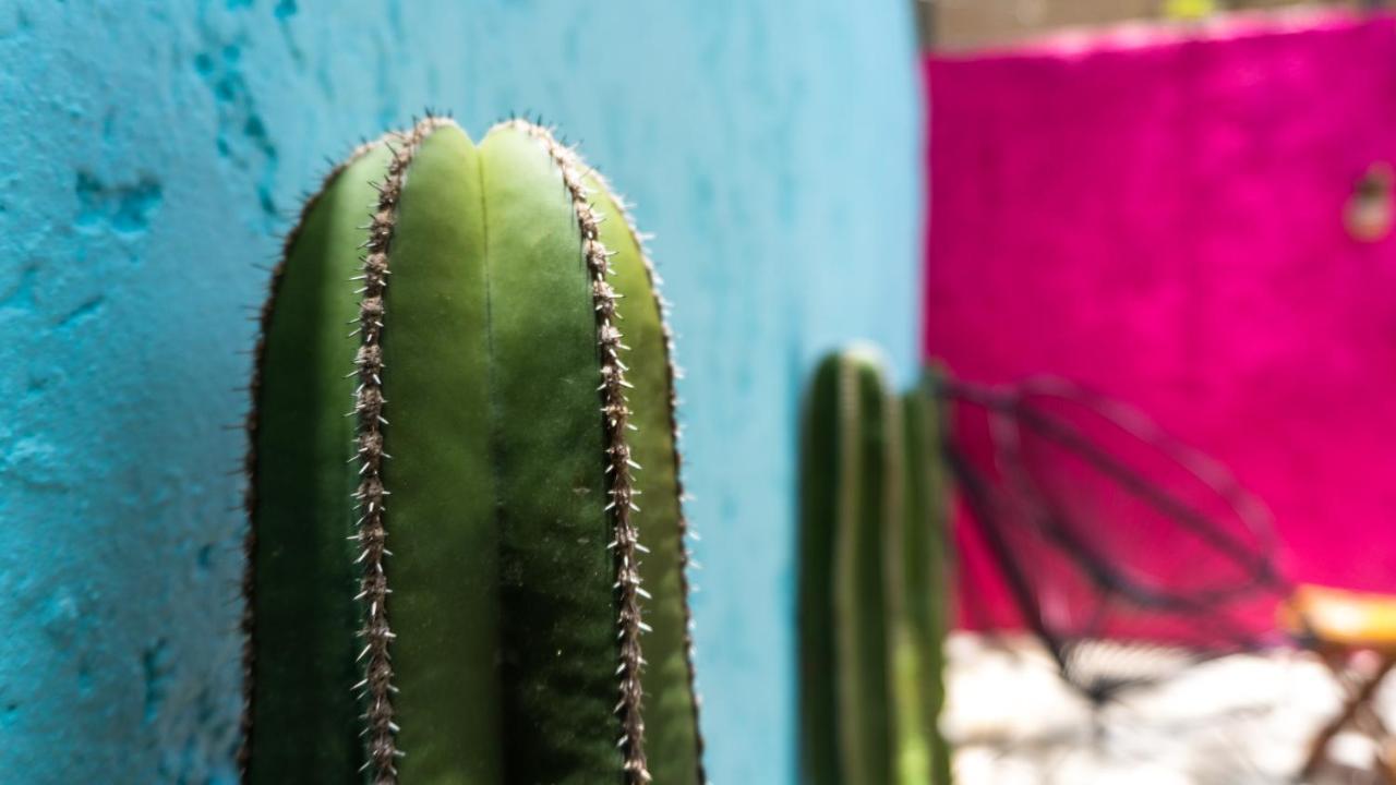 Apartmán Casa Tiahui Cancún Exteriér fotografie